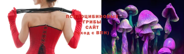 скорость Алексин
